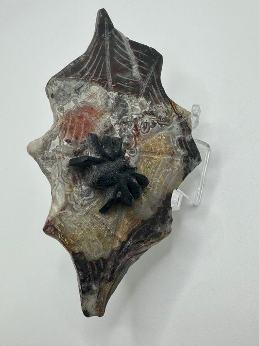 Black Obsidian Spider on Mexican Lace Agate Web