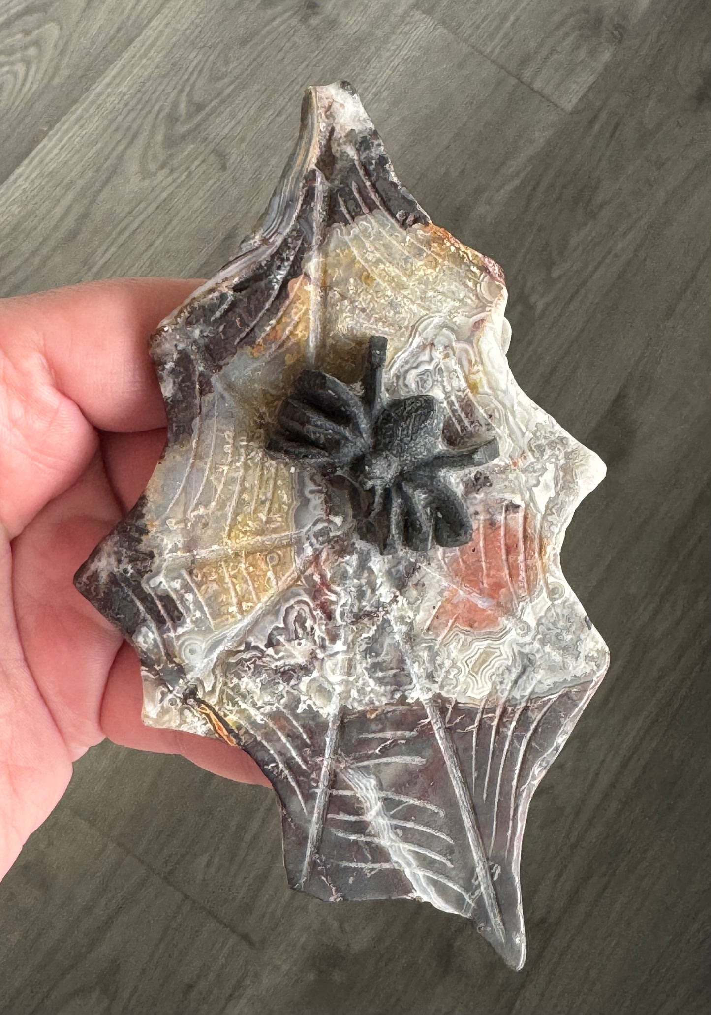 Black Obsidian Spider on Mexican Lace Agate Web
