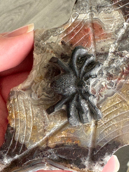 Black Obsidian Spider on Mexican Lace Agate Web