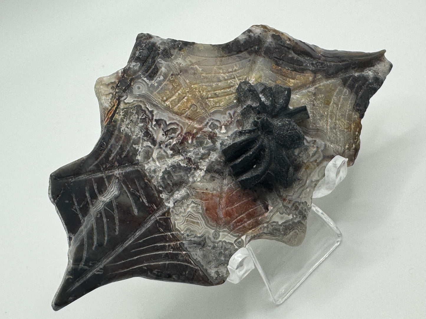 Black Obsidian Spider on Mexican Lace Agate Web