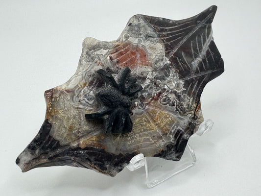 Black Obsidian Spider on Mexican Lace Agate Web