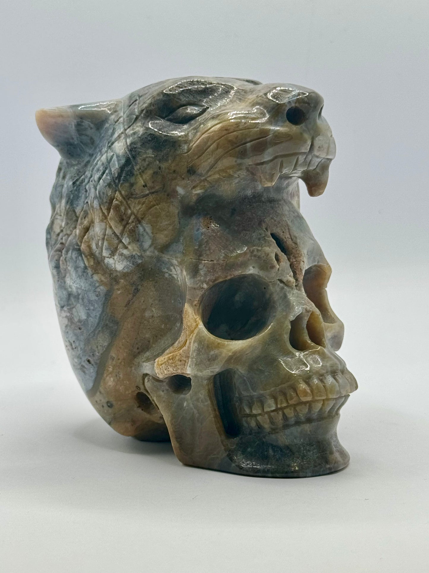 Indian Agate Tiger Head Skull