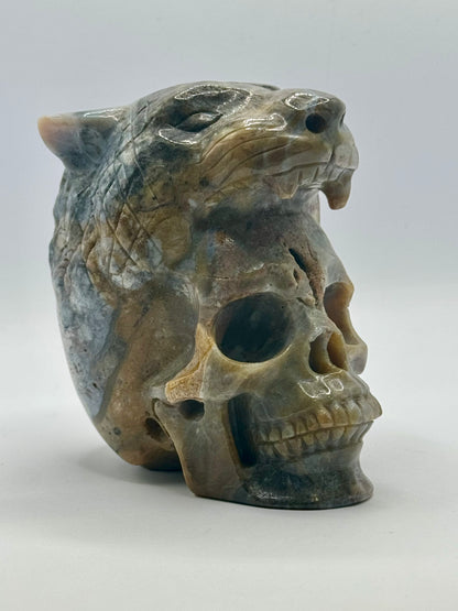 Indian Agate Tiger Head Skull