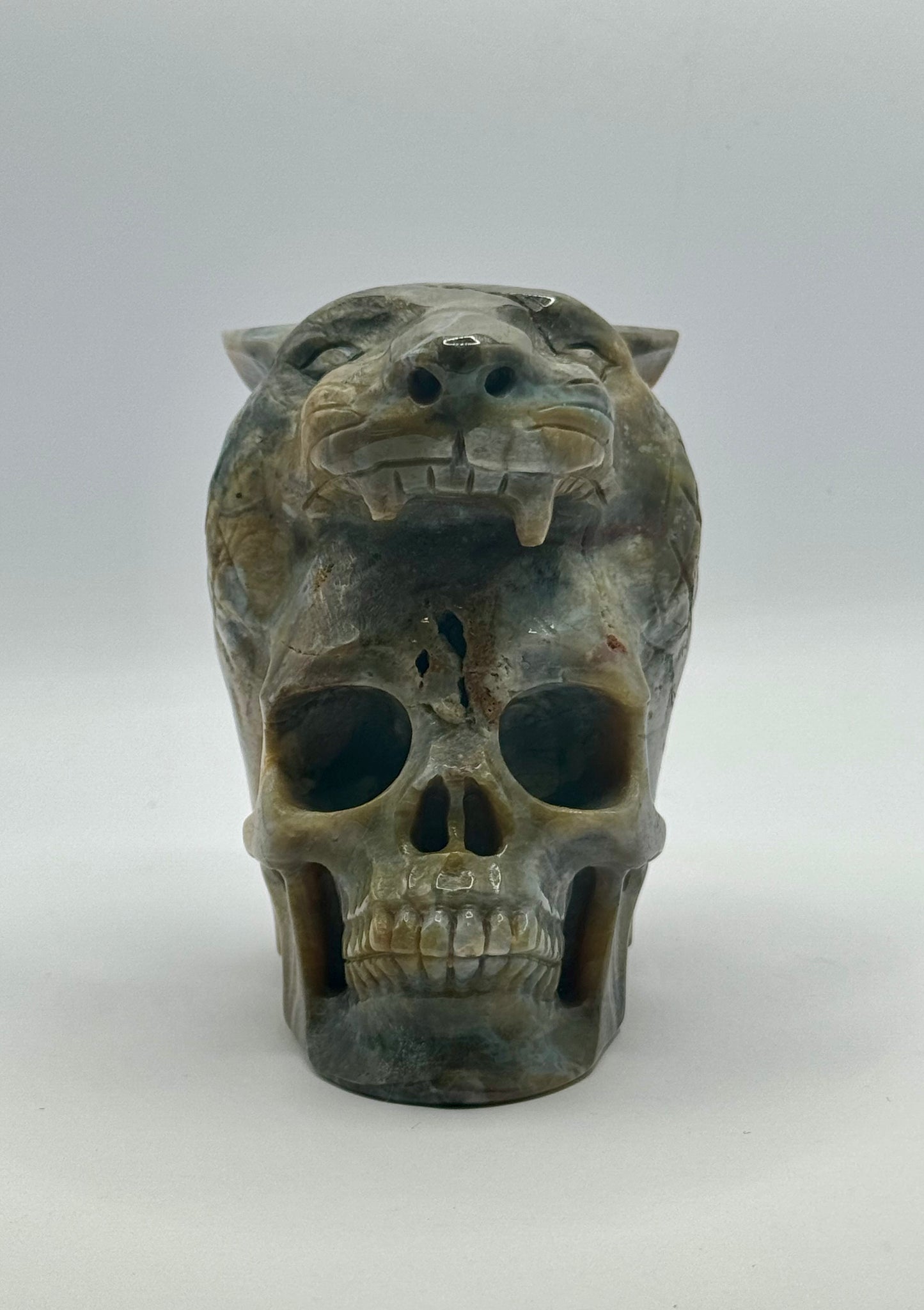 Indian Agate Tiger Head Skull