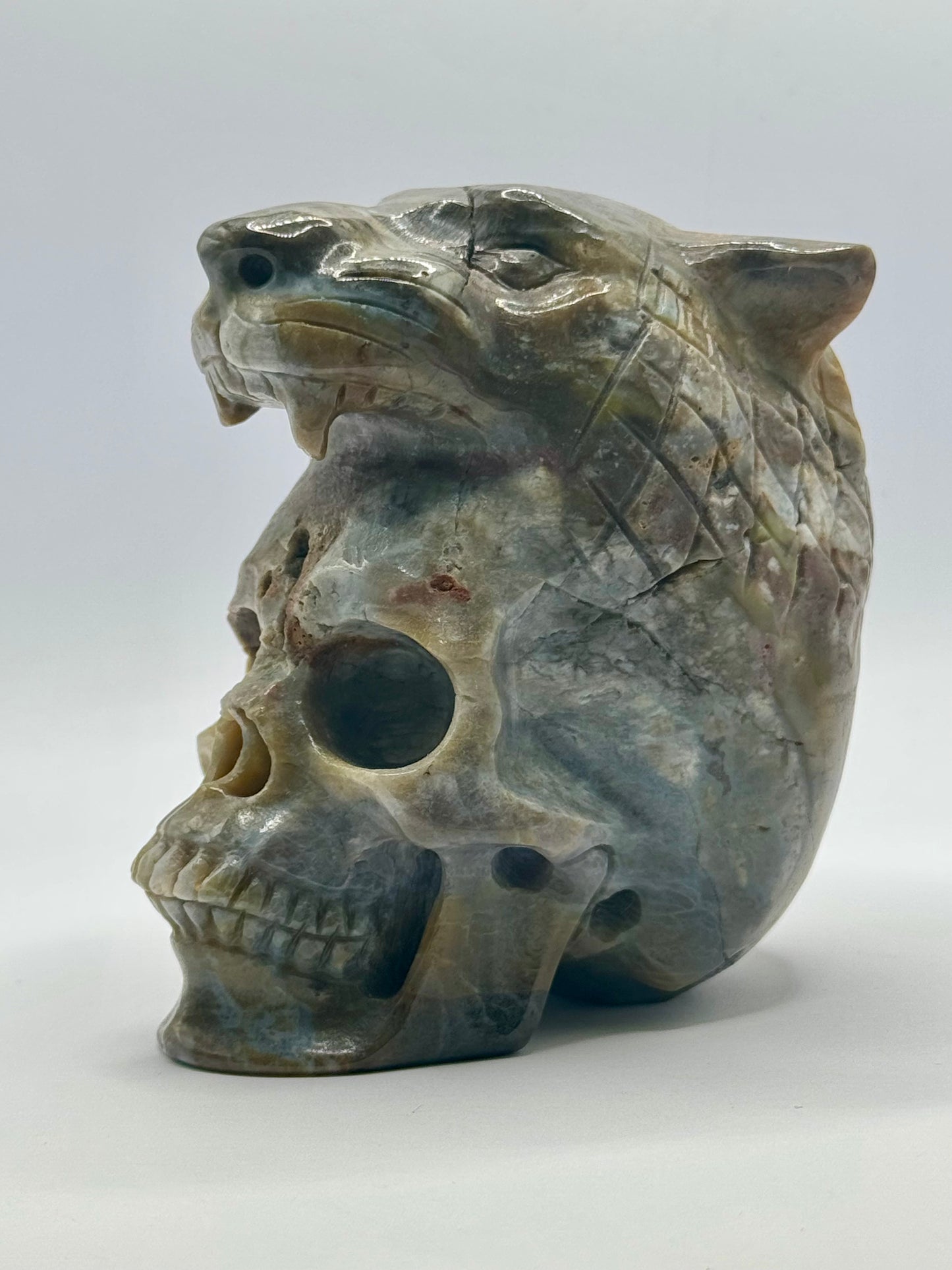 Indian Agate Tiger Head Skull