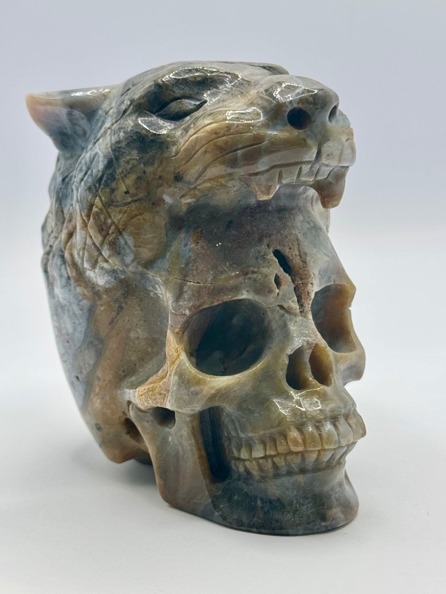 Indian Agate Tiger Head Skull