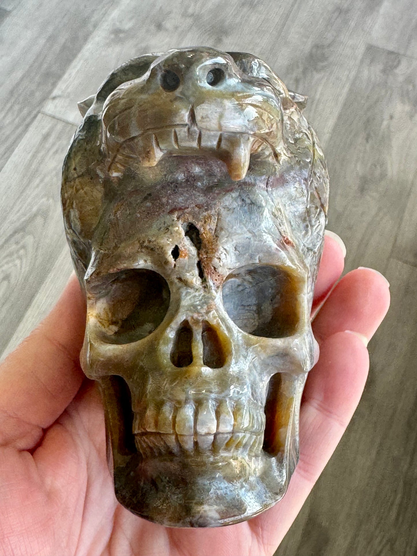 Indian Agate Tiger Head Skull