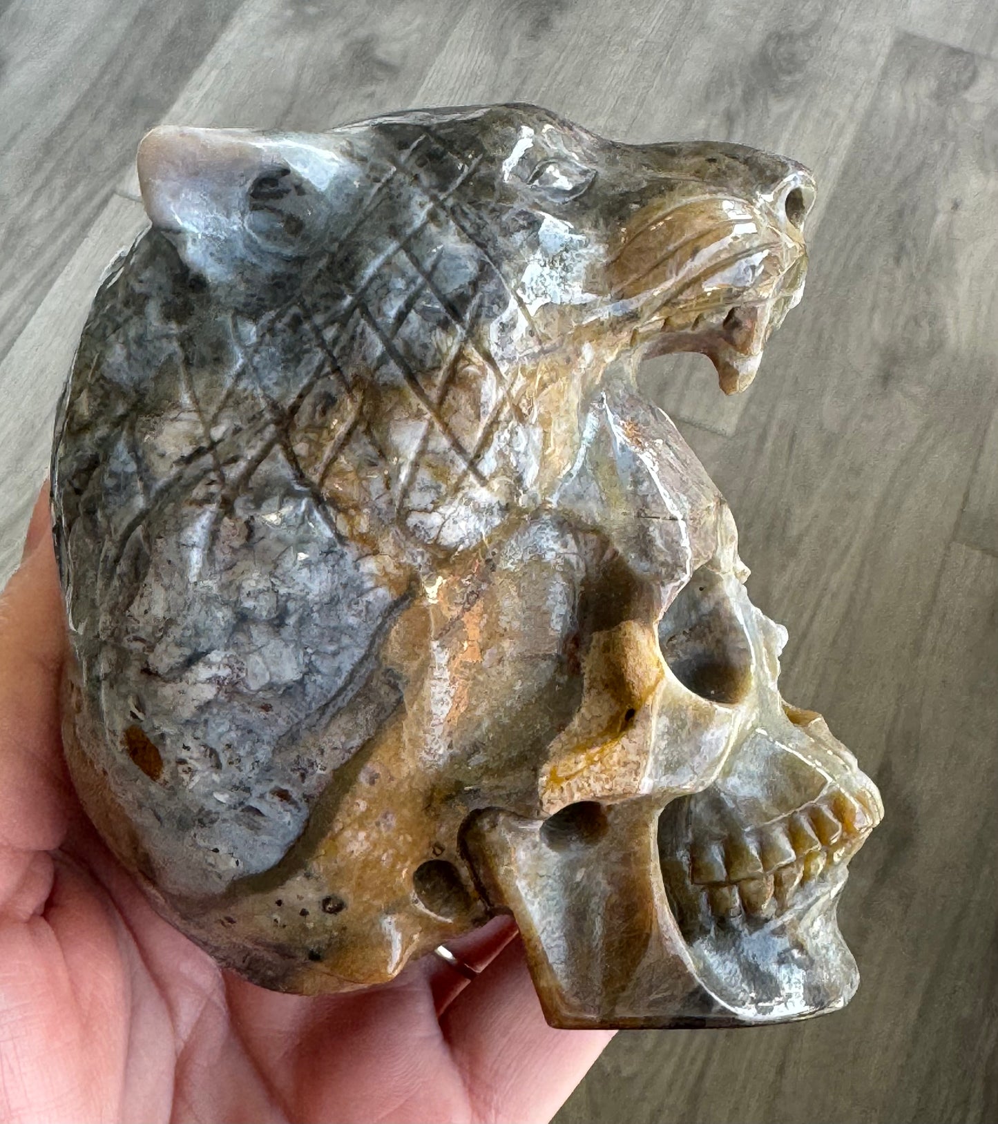 Indian Agate Tiger Head Skull