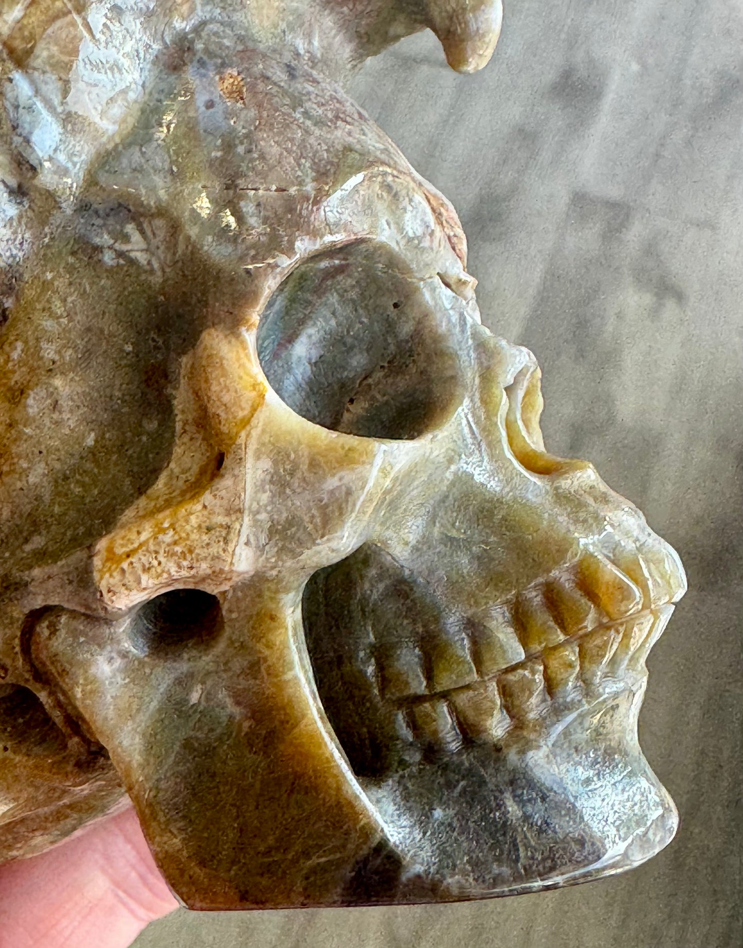 Indian Agate Tiger Head Skull