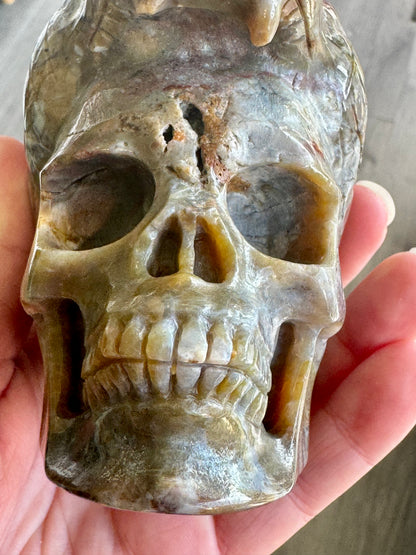 Indian Agate Tiger Head Skull