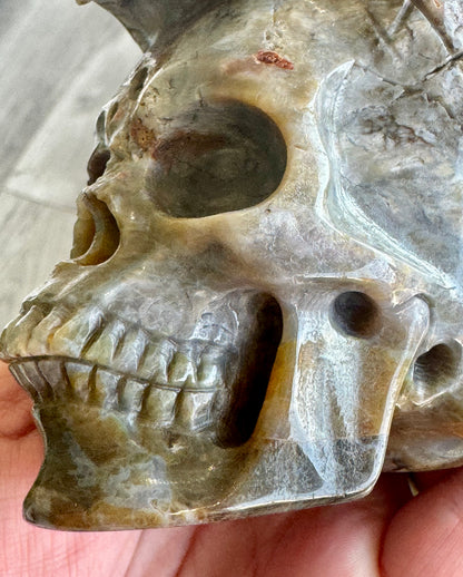 Indian Agate Tiger Head Skull