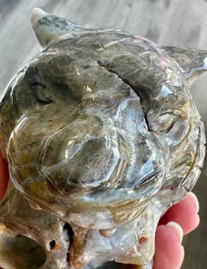 Indian Agate Tiger Head Skull