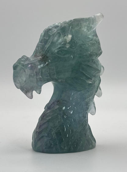 Fluorite Dragon image 0