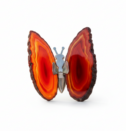 Agate Butterfly image 1