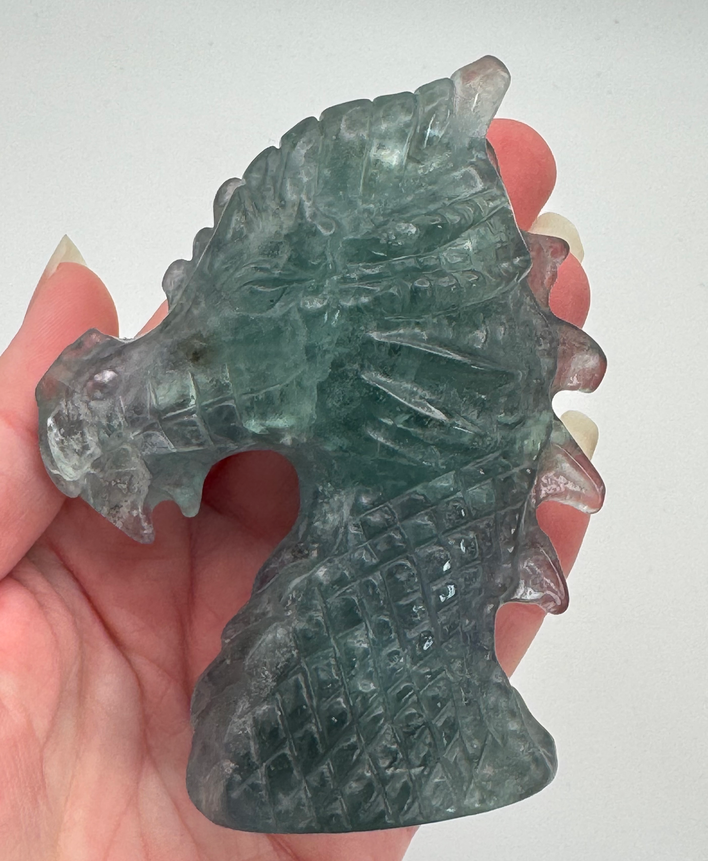 Fluorite Dragon image 6