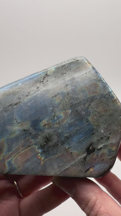 Labradorite Freeform - Purple Flash