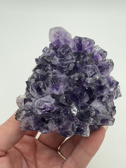 Brazillian Amethyst Cluster